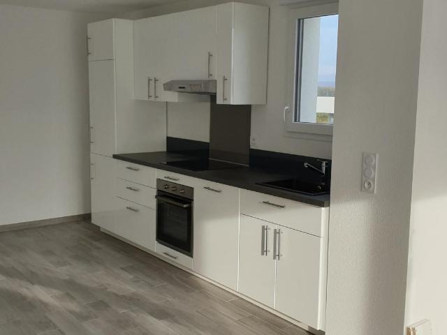 Appartement location à Mulhouse, Sierentz
