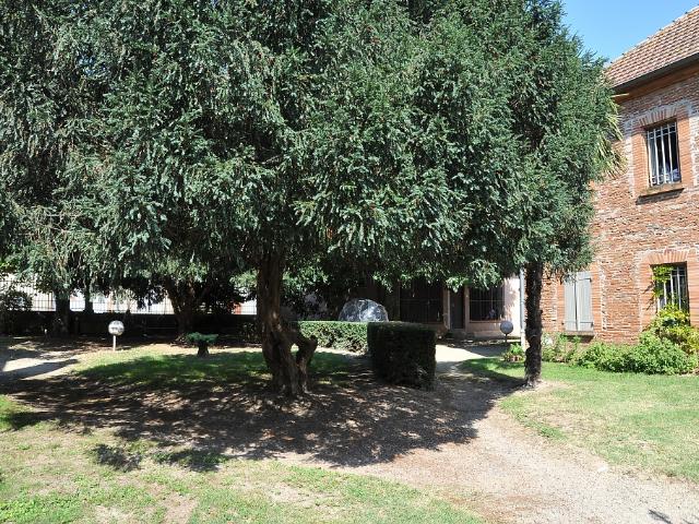 Appartement location à Castelsarrasin, Saint-nicolas-de-la-grave