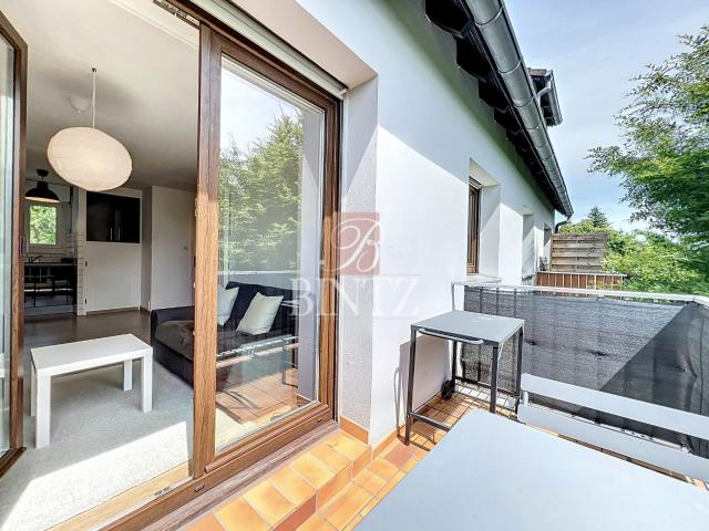 Appartement location à Strasbourg, Hoenheim
