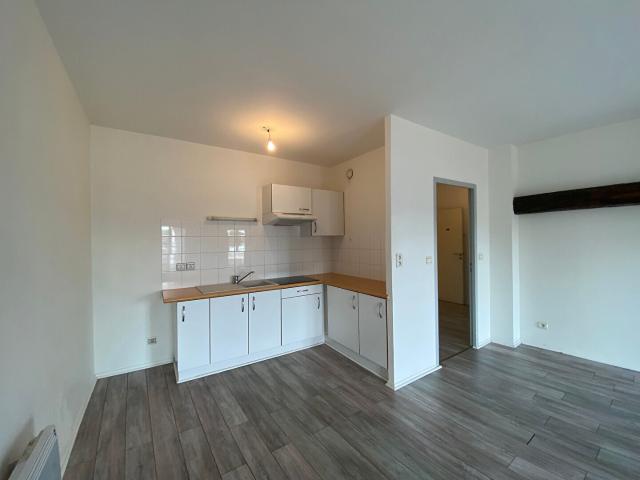 Appartement location à Albi