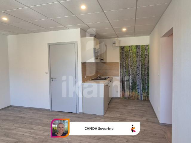 Appartement location à Belfort, Giromagny