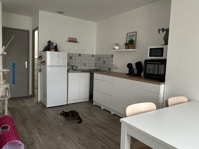 Appartement location à Châteaubriant-Ancenis, Blain