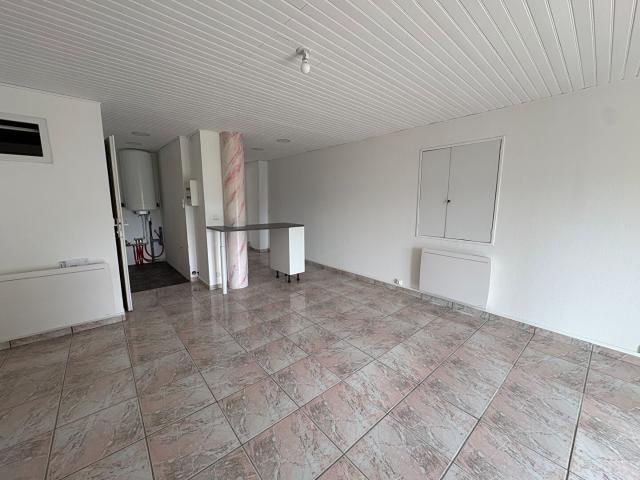Appartement location à Forbach-Boulay-Moselle, Macheren