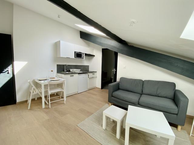Appartement location à Saint-Étienne, Saint-etienne