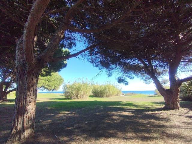 Appartement vente à Corte, Poggio-mezzana