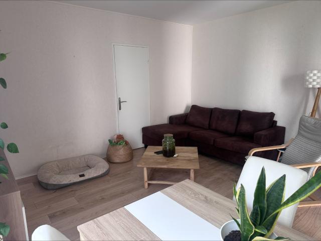 Appartement location à Fontainebleau, Avon