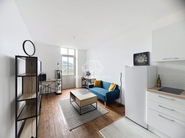 Appartement vente à Thizy, Thizy-les-Bourgs