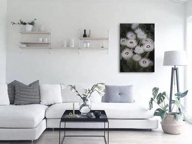 Appartement vente à Thonon-les-Bains, Sciez