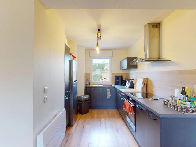 Appartement location à Toulouse, La Salvetat-saint-gilles