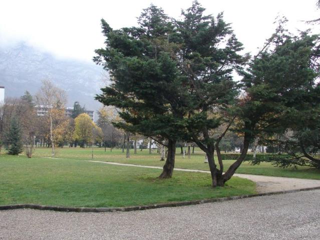 Maison location à Grenoble, Saint-egrève