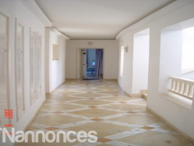 Appartement vente