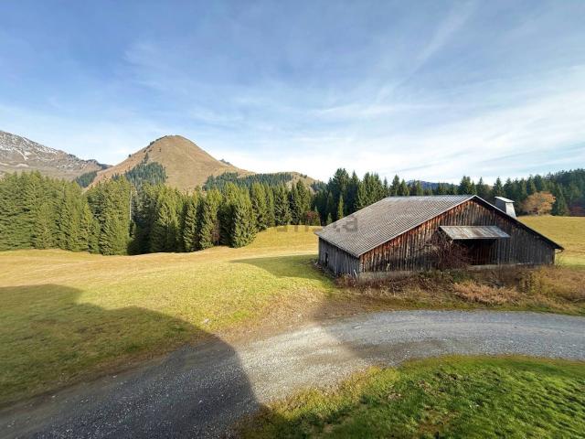 Appartement location à Le Praz de Lys, Taninges