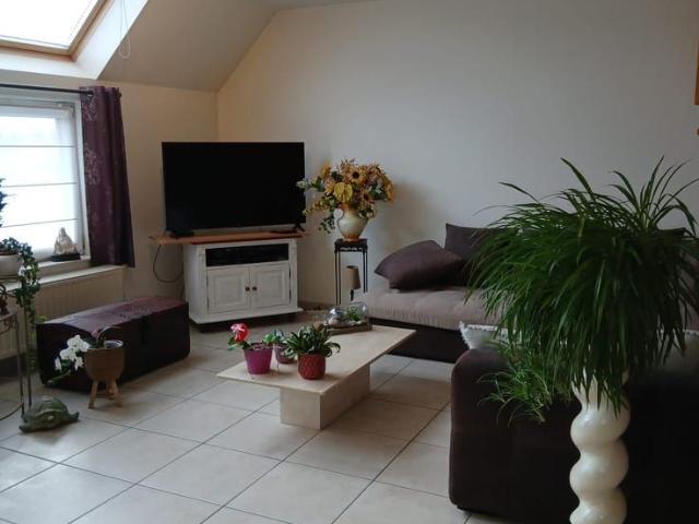 Appartement location à Kortenberg, Vlaams-Brabant