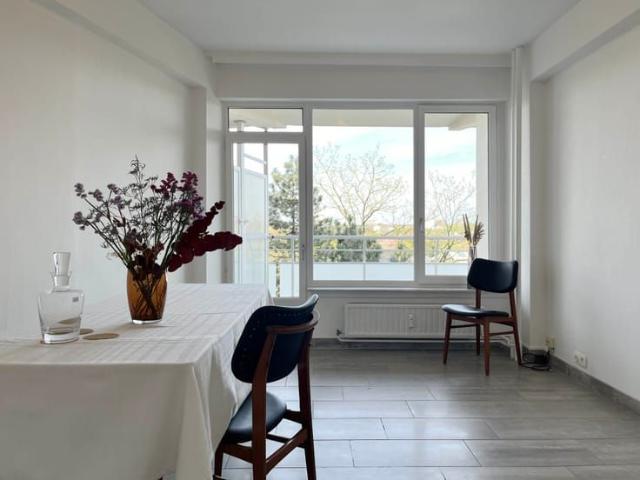 Appartement location à Desteldonk, Oost-Vlaanderen