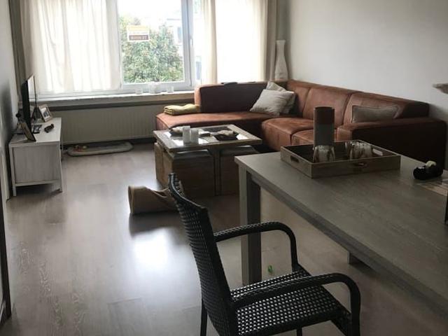 Appartement location à Wijnegem