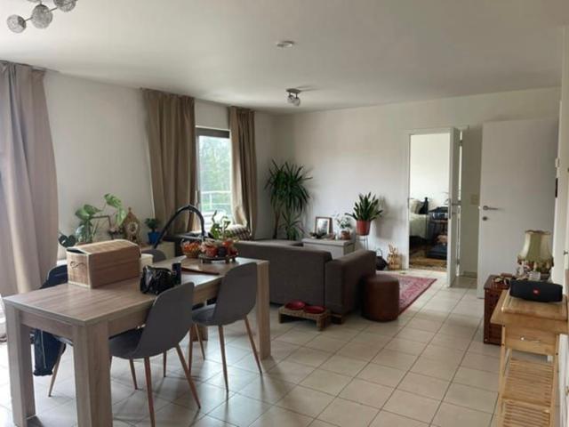 Appartement location à Zoersel, Antwerpen