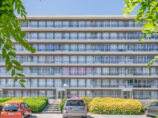 Appartement location à Tienen, Brabant