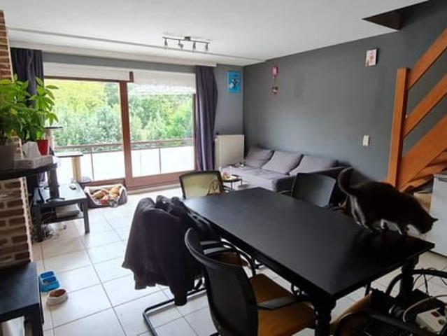 Appartement location à Vilvoorde, Brabant