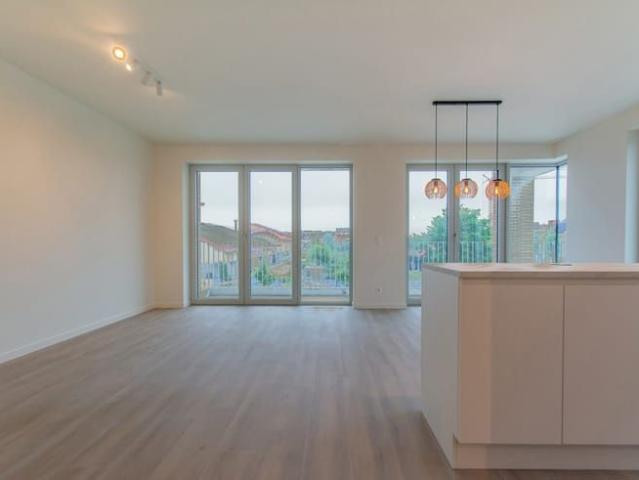 Appartement location à Seefhoek-Stuivenberg, Antwerpen