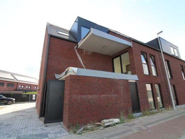 Kot location à Berlare, Oost-Vlaanderen