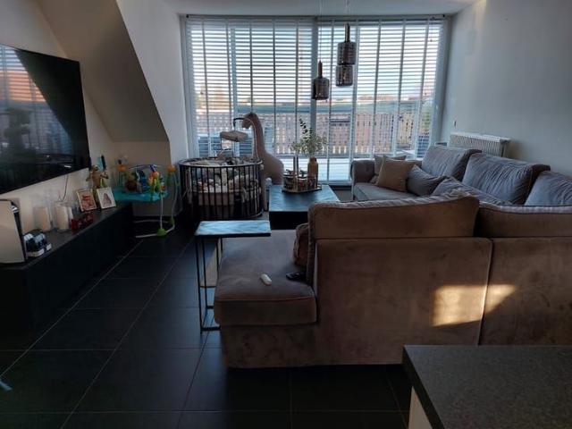 Appartement location à Hoogstraten, Antwerpen