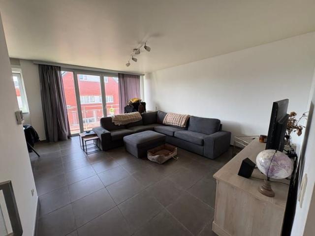 Appartement location à Zele, Oost-Vlaanderen