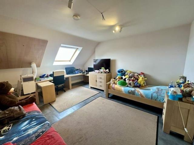 Appartement location à Affligem, Brabant