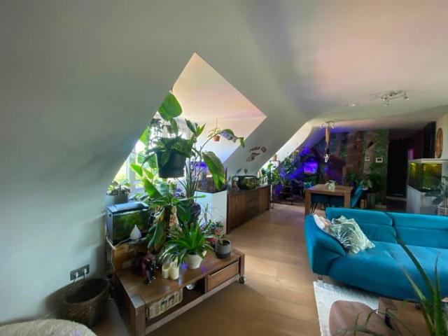 Appartement location à Santhoven, Antwerpen