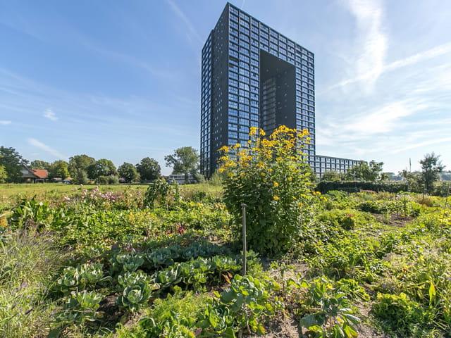 Appartement te huur in Oosterhoogebrug, Groningen