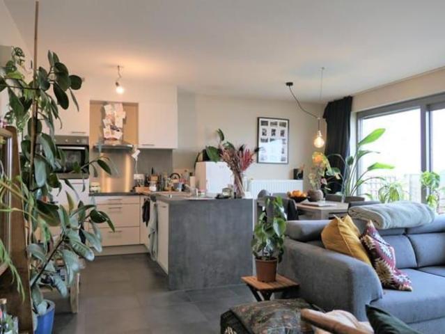 Appartement location à Desteldonk, Oost-Vlaanderen