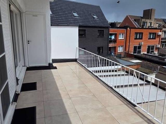 Appartement location à Willebroeck, Antwerpen