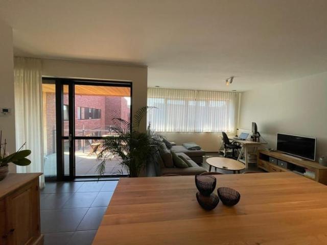 Appartement location à Vilvoorde, Brabant