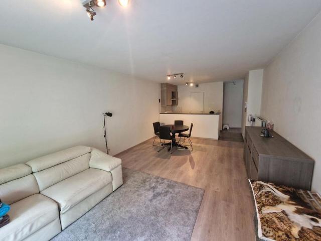 Appartement location à Brasschaat