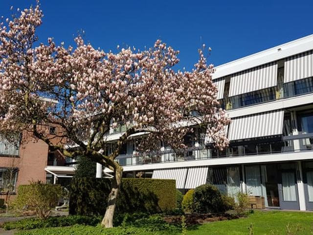 Appartement te huur in Haren, Groningen