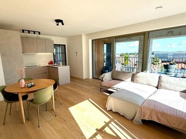 Appartement location à Deinze, Oost-Vlaanderen