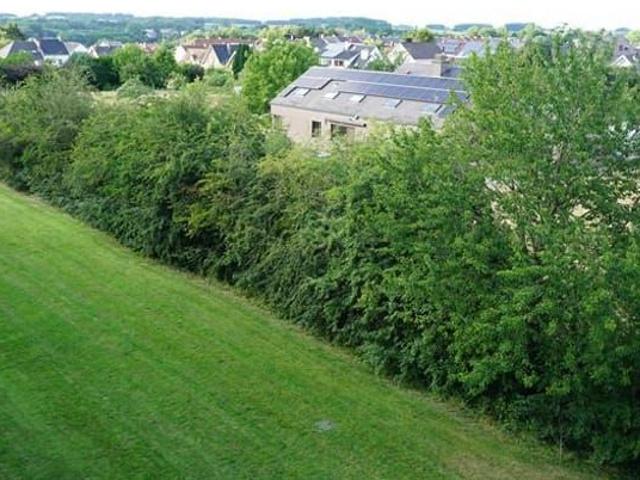 Appartement location à Nijvel, Wallonie