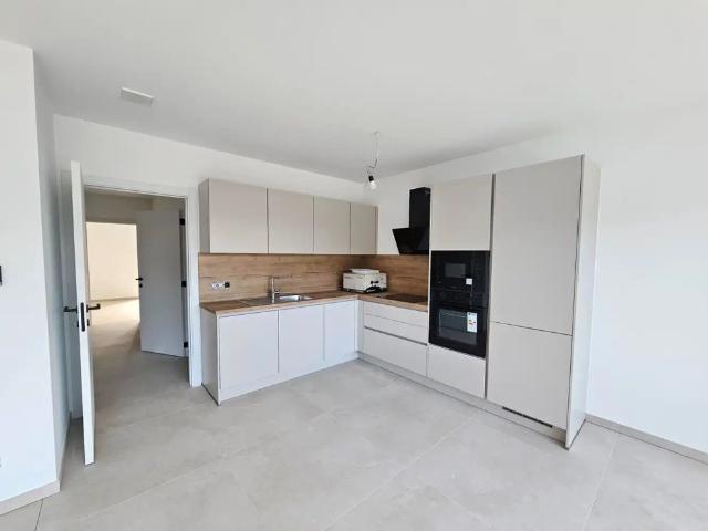 Appartement location à Maasmechelen, Limburg