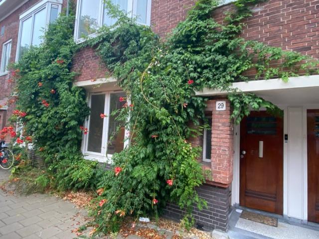 Appartement te huur in Oost, Amsterdam