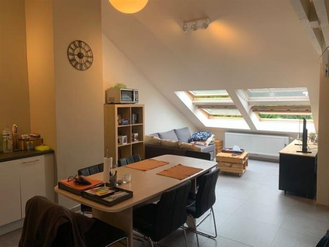 Appartement location à Leuze-en-hainaut, Wallonie