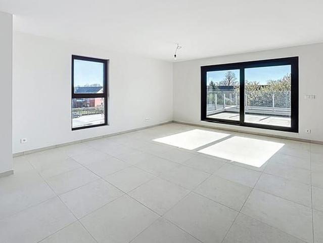 Appartement location à Belœil, Hainaut