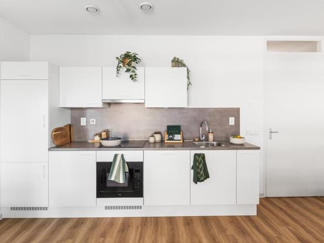Appartement te huur in Artiestenbuurt, Rijswijk