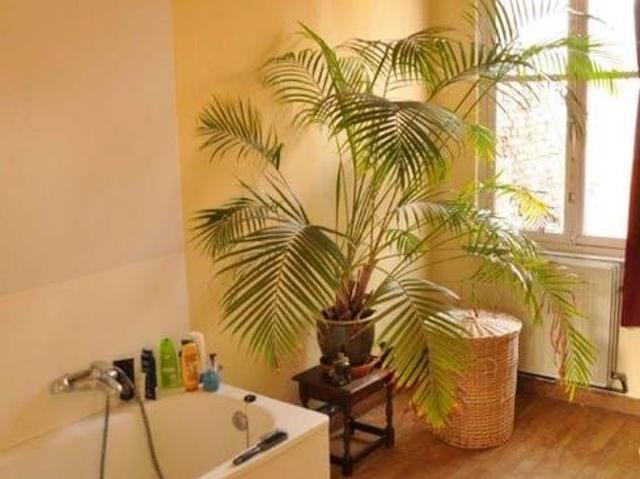 Appartement location à Desteldonk, Oost-Vlaanderen
