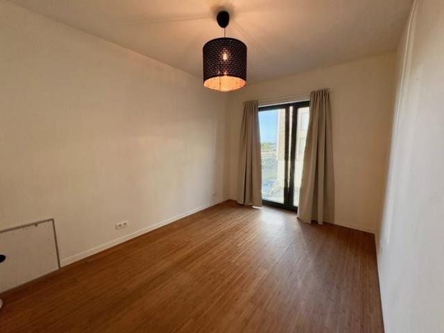 Appartement location à Hemiksem