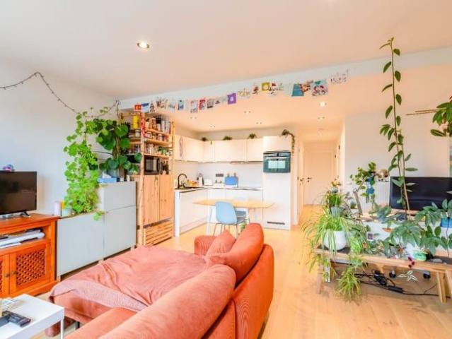 Appartement location à Desteldonk, Oost-Vlaanderen