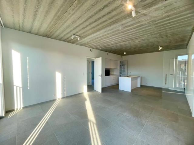 Appartement location à Seefhoek-Stuivenberg, Antwerpen