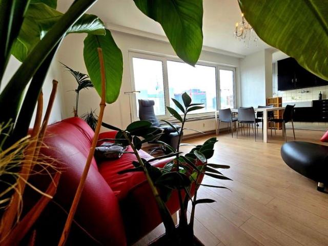Appartement location à D'hoye, Bruxelles
