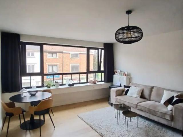 Appartement location à Desteldonk, Oost-Vlaanderen