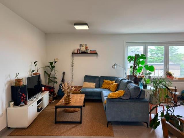 Appartement location à Hasselt, Limburg
