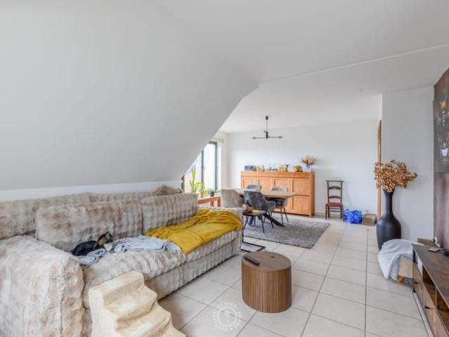Appartement location à Sint-gillis-waas, Oost-Vlaanderen
