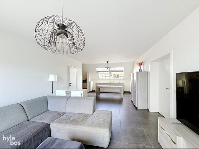Appartement location à Stekene